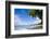 Scenic View of Beach, Sandy Lane Beach, Barbados-Stefano Amantini-Framed Photographic Print