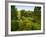 Scenic View of Country Garden-Tim Kahane-Framed Photographic Print