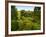 Scenic View of Country Garden-Tim Kahane-Framed Photographic Print