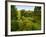 Scenic View of Country Garden-Tim Kahane-Framed Photographic Print