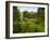 Scenic View of Country Garden-Tim Kahane-Framed Photographic Print