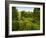 Scenic View of Country Garden-Tim Kahane-Framed Photographic Print