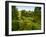 Scenic View of Country Garden-Tim Kahane-Framed Photographic Print