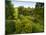 Scenic View of Country Garden-Tim Kahane-Mounted Photographic Print