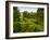 Scenic View of Country Garden-Tim Kahane-Framed Photographic Print