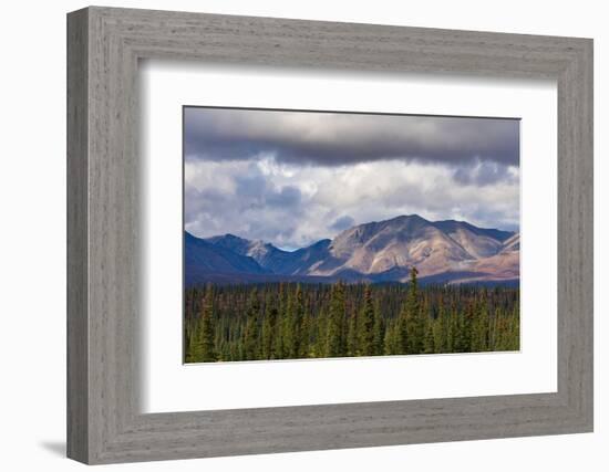 Scenic view of forest and mountains, Denali National Park and Preserve-Jan Miracky-Framed Photographic Print