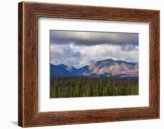 Scenic view of forest and mountains, Denali National Park and Preserve-Jan Miracky-Framed Photographic Print