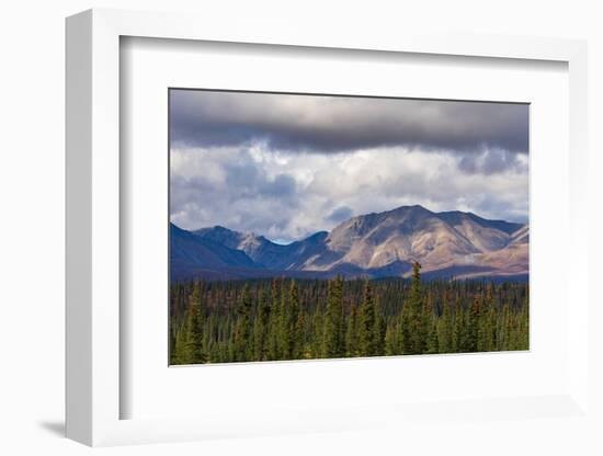 Scenic view of forest and mountains, Denali National Park and Preserve-Jan Miracky-Framed Photographic Print