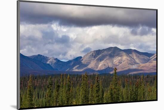 Scenic view of forest and mountains, Denali National Park and Preserve-Jan Miracky-Mounted Photographic Print