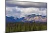 Scenic view of forest and mountains, Denali National Park and Preserve-Jan Miracky-Mounted Photographic Print