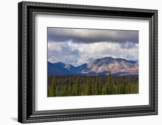 Scenic view of forest and mountains, Denali National Park and Preserve-Jan Miracky-Framed Photographic Print