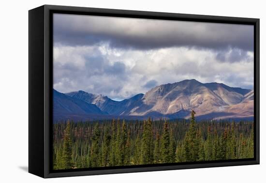 Scenic view of forest and mountains, Denali National Park and Preserve-Jan Miracky-Framed Premier Image Canvas