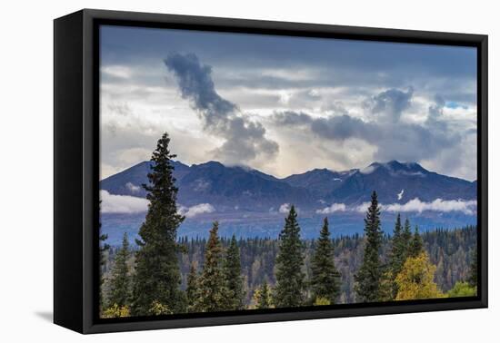 Scenic view of forest and mountains, Denali National Park and Preserve-Jan Miracky-Framed Premier Image Canvas