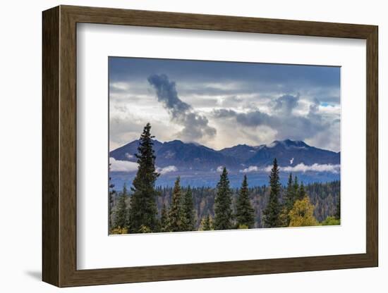 Scenic view of forest and mountains, Denali National Park and Preserve-Jan Miracky-Framed Photographic Print