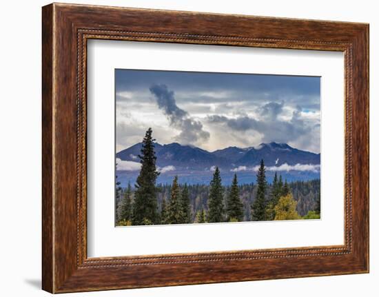 Scenic view of forest and mountains, Denali National Park and Preserve-Jan Miracky-Framed Photographic Print