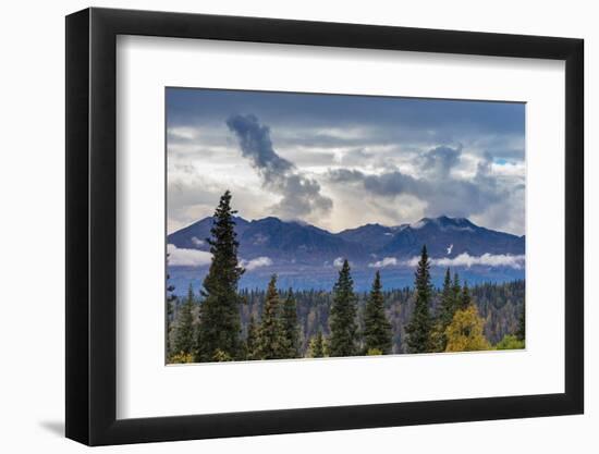 Scenic view of forest and mountains, Denali National Park and Preserve-Jan Miracky-Framed Photographic Print