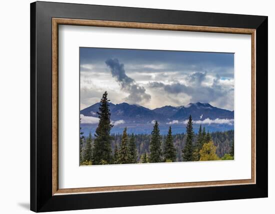 Scenic view of forest and mountains, Denali National Park and Preserve-Jan Miracky-Framed Photographic Print