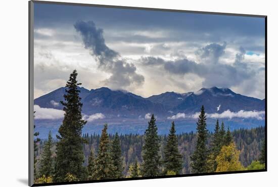 Scenic view of forest and mountains, Denali National Park and Preserve-Jan Miracky-Mounted Photographic Print