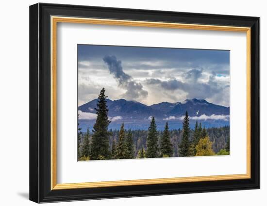 Scenic view of forest and mountains, Denali National Park and Preserve-Jan Miracky-Framed Photographic Print