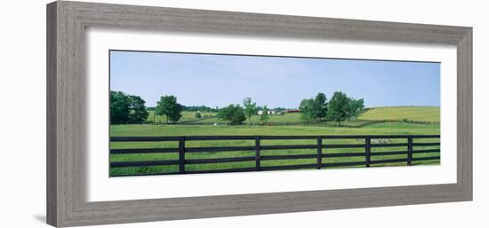 Scenic view of horse farm, Woodford County, Kentucky, USA-null-Framed Photographic Print