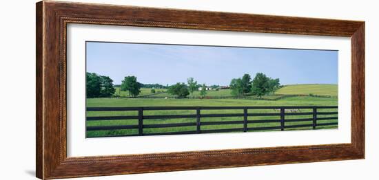 Scenic view of horse farm, Woodford County, Kentucky, USA-null-Framed Photographic Print