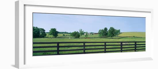 Scenic view of horse farm, Woodford County, Kentucky, USA-null-Framed Photographic Print