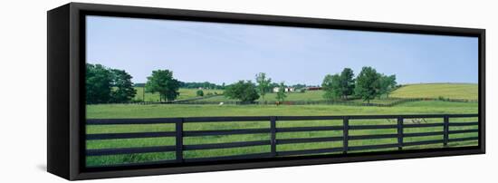 Scenic view of horse farm, Woodford County, Kentucky, USA-null-Framed Stretched Canvas