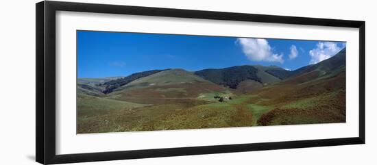 Scenic view of landscape, Iraty Mountain, Basque Country, Pyrenees-Atlantiques, France-null-Framed Photographic Print