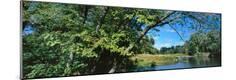 Photographic Print
