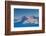 Scenic view of mountain landscape, Aoraki/Mount Cook National Park, Canterbury, South Island, Ne...-null-Framed Photographic Print