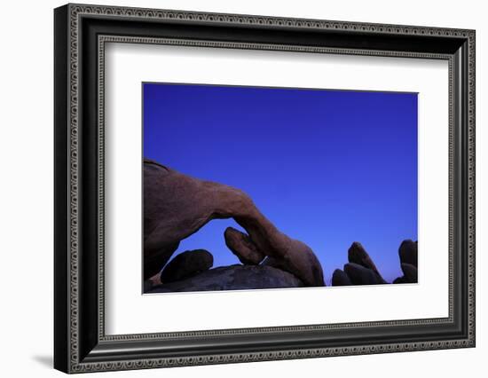 Scenic view of rock formations, Joshua Tree National Park, California, USA-Panoramic Images-Framed Photographic Print