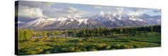 Stretched Canvas Print