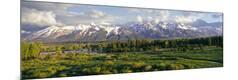 Photographic Print