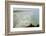 Scenic view of the beach, Manzanita, Oregon, USA-Panoramic Images-Framed Photographic Print