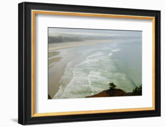 Scenic view of the beach, Manzanita, Oregon, USA-Panoramic Images-Framed Photographic Print