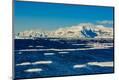 Premium Photographic Print
