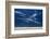 Scenic view of the ocean, Byron Bay, New South Wales, Australia-Panoramic Images-Framed Photographic Print