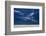 Scenic view of the ocean, Byron Bay, New South Wales, Australia-Panoramic Images-Framed Photographic Print