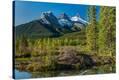 Stretched Canvas Print