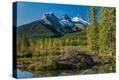 Stretched Canvas Print