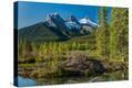 Stretched Canvas Print