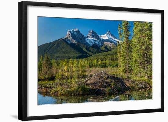 Photographic Print, , large