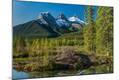 Photographic Print