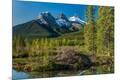Photographic Print