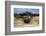 Scenic view of tree of life, Kalaloch, Olympic National Park, Jefferson County, Washington State...-Panoramic Images-Framed Photographic Print