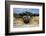 Scenic view of tree of life, Kalaloch, Olympic National Park, Jefferson County, Washington State...-Panoramic Images-Framed Photographic Print