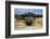 Scenic view of tree of life, Kalaloch, Olympic National Park, Jefferson County, Washington State...-Panoramic Images-Framed Photographic Print