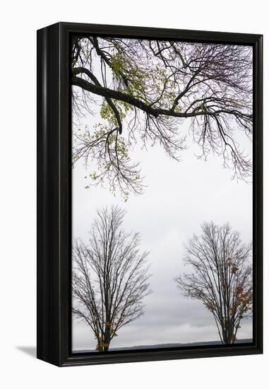 Scenic view of trees, Chautauqua Lake, Chautauqua Institution Historic District, Chautauqua, Wes...-Panoramic Images-Framed Premier Image Canvas