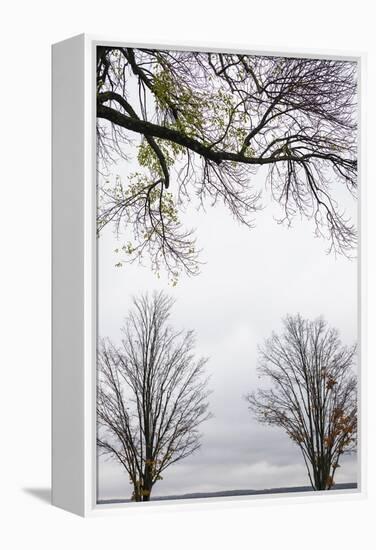 Scenic view of trees, Chautauqua Lake, Chautauqua Institution Historic District, Chautauqua, Wes...-Panoramic Images-Framed Premier Image Canvas