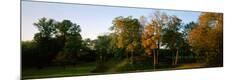 Photographic Print